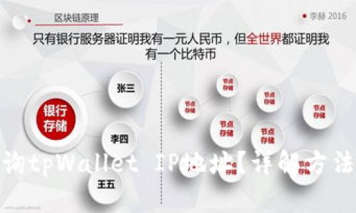 如何查询tpWallet IP地址？详解方法与步骤