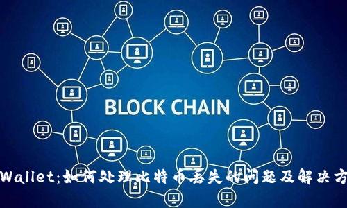 tpWallet：如何处理比特币丢失的问题及解决方案