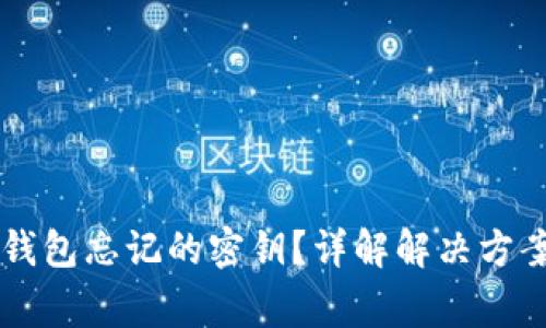 如何找回im钱包忘记的密钥？详解解决方案与注意事项