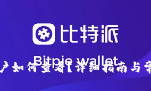 tpWallet账户如何查看？详细指南与常见问题解答