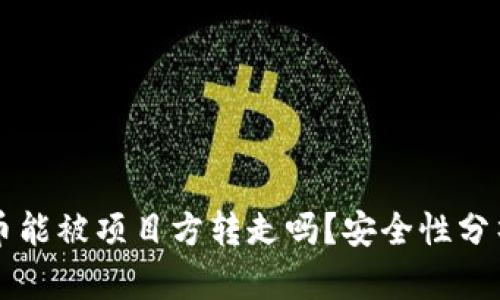 tpWallet的币能被项目方转走吗？安全性分析与用户须知