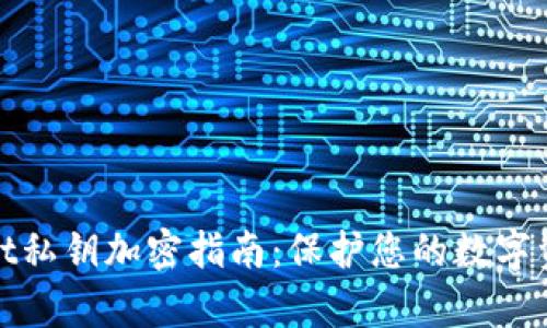 tpWallet私钥加密指南：保护您的数字资产安全