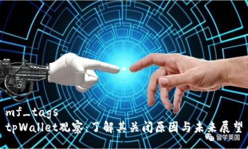 mf_tags
tpWallet观察：了解其关闭原因与未来展望